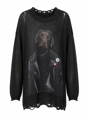 Audacious Distressed Knit Pullover
